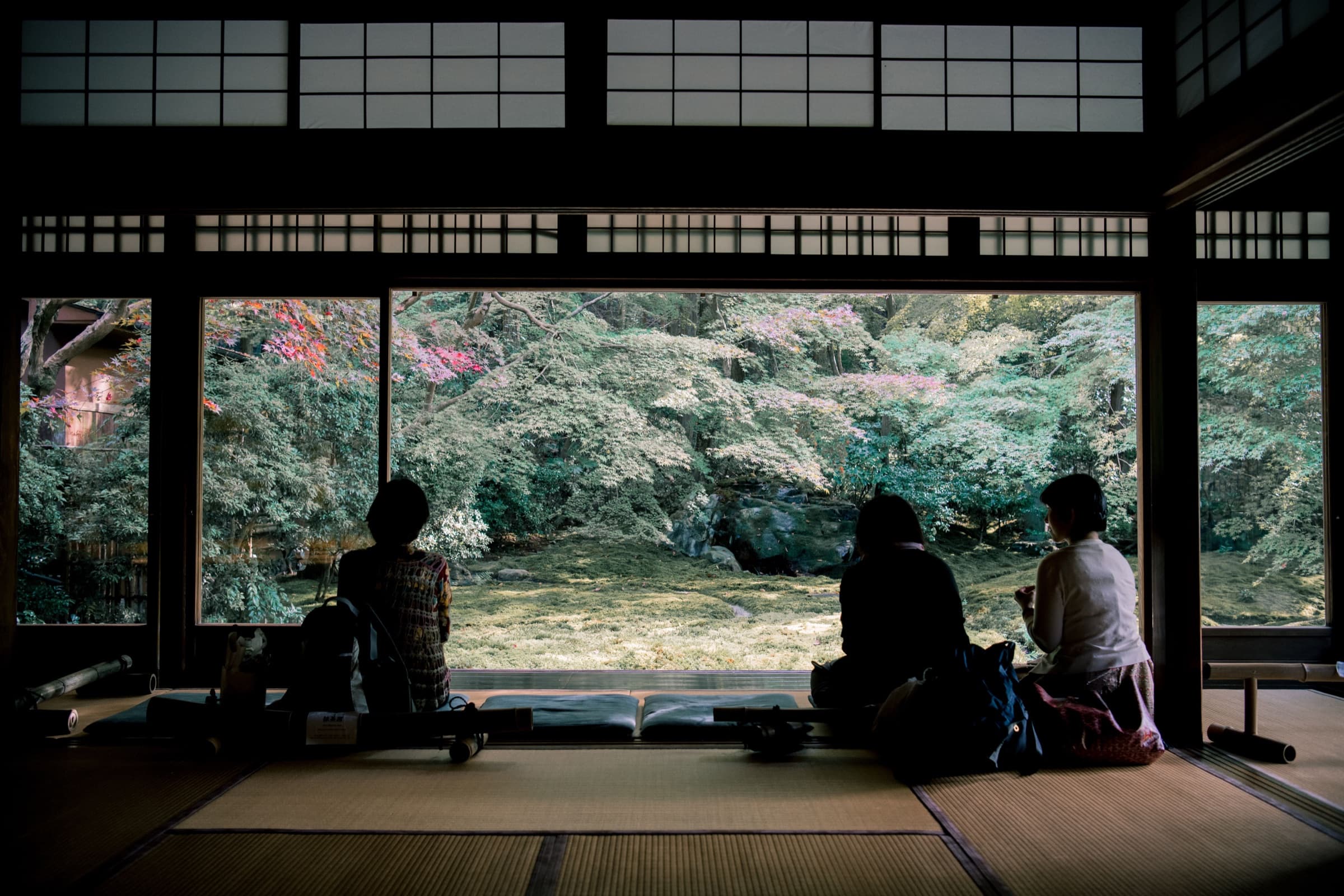 A Japanese garden viewed from inside a temple